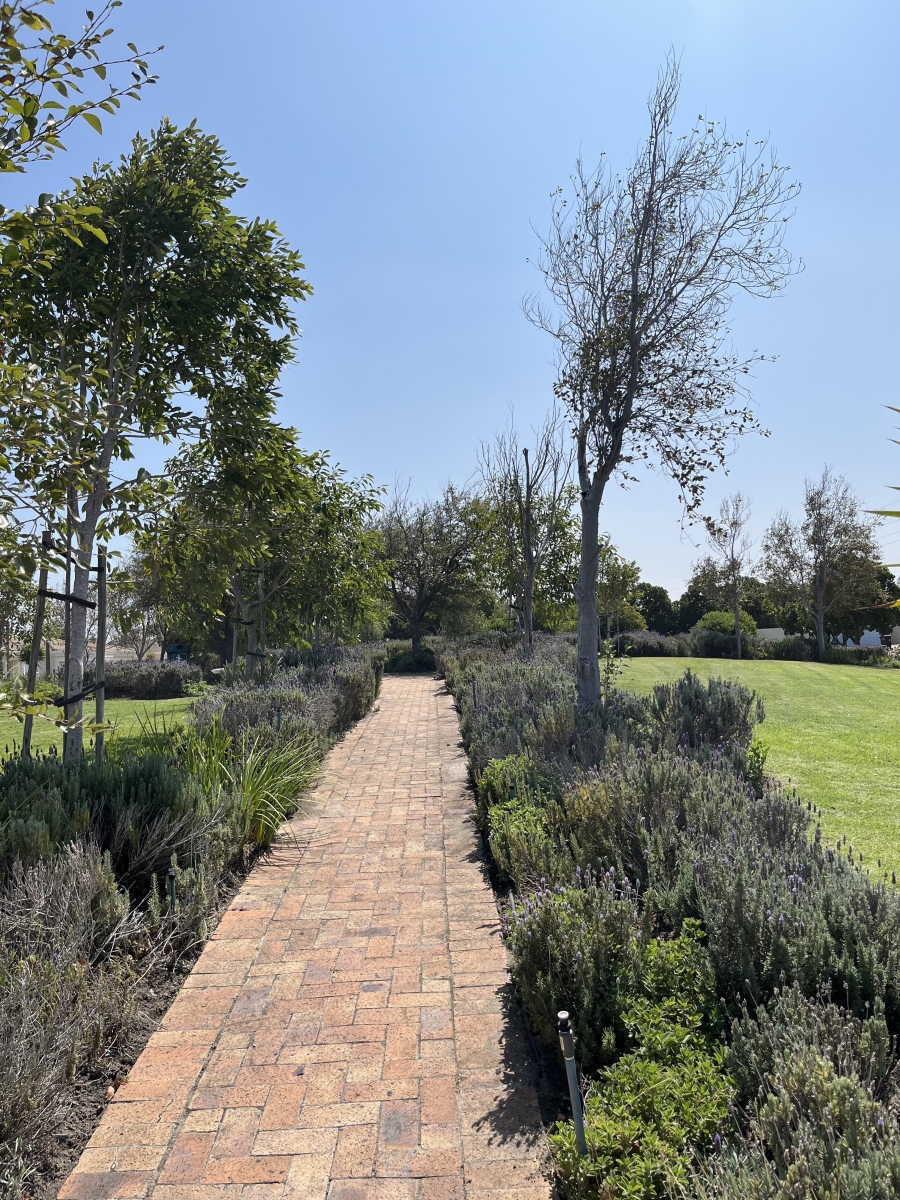 4 Bedroom Property for Sale in Sunningdale Western Cape